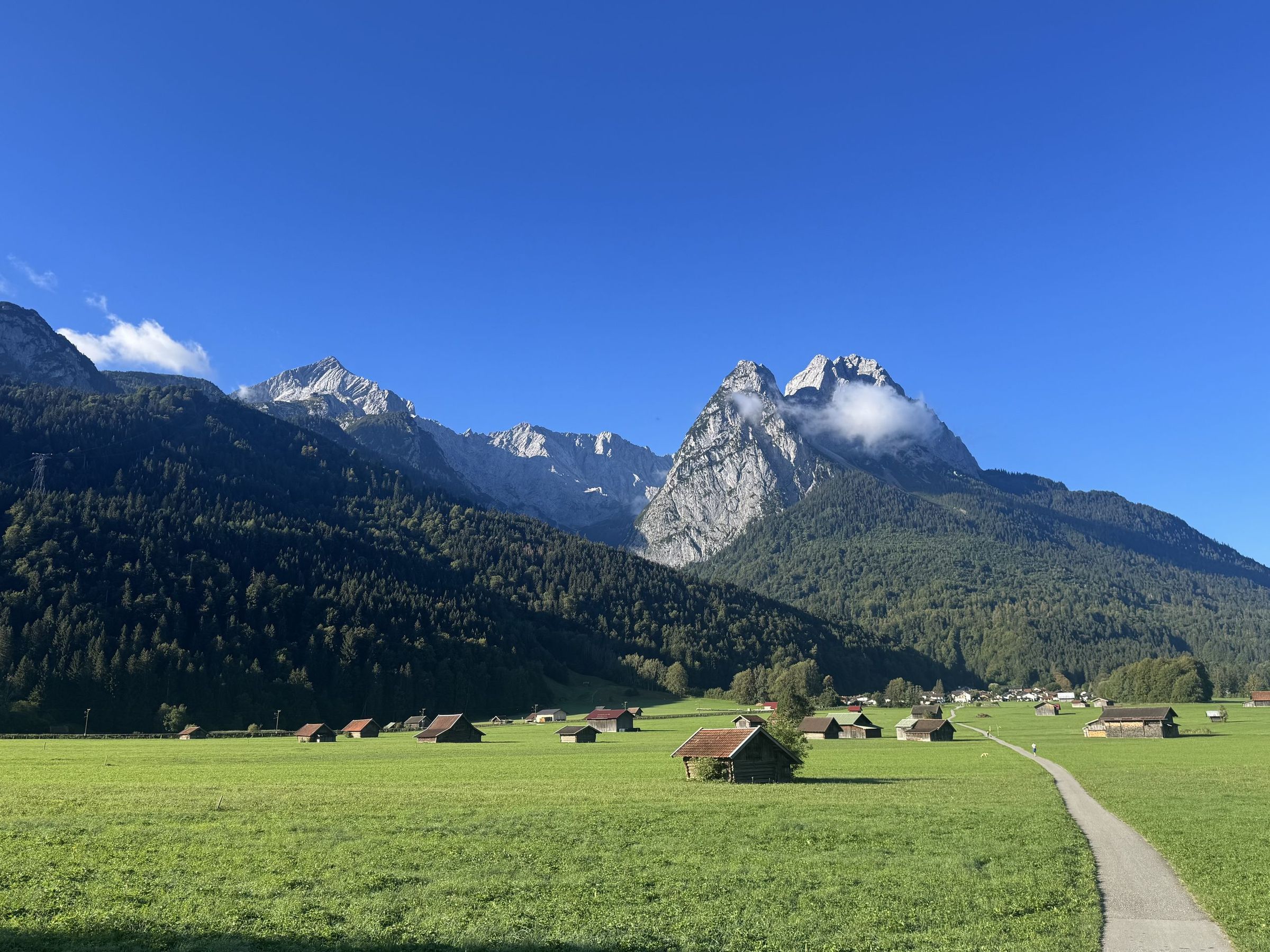 Wiesen mit Heustadeln vor dem Wettersteingebirge
